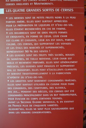 Quatre catégories de cerises, mais il en manque une! Laquelle...!!!