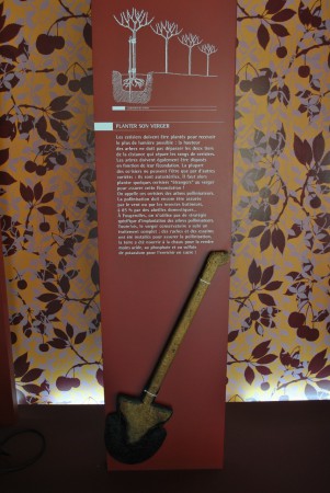 Plantons des cerisiers!