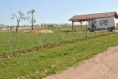 /album/plantation-des-contre-espaliers-07-au-10-avril-2020/19-jpg6/