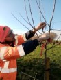 /album/stagiaires-bpa-piquetage-et-plantation-dun-verger-de-15-pommiers-a-etival-clairefontaine/24-jpg18/