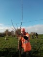 /album/stagiaires-bpa-piquetage-et-plantation-dun-verger-de-15-pommiers-a-etival-clairefontaine/25-jpg15/