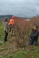 /album/09-mars-taille-des-myrtilliers-arbustifs-vaccinium-corymbosum-a-deycimont-avec-les-stagiaires-bpa-travaux-paysagers-chez-bernadette-masson/12-jpg41/